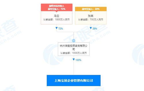 上海軟件開發的現狀、機遇與未來展望